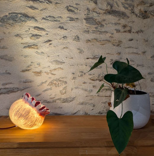 2024-11/1732287637_lampe-baladeuse-julie-laurent-freutre-de-laine-l-accueillante-petale-plumes-4-